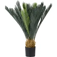 Coco Maison Cycas revoluta 90cm