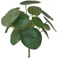 Coco Maison Kunstplant Pilea bush 25cm |
