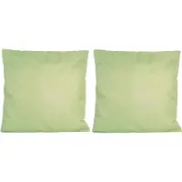 Anna's Collection 2x Bank/sier kussens voor binnen en buiten in de kleur mint groen 45 x 45 cm - Tuin/huis kussens