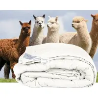 ISleep Alpaca wollen enkel dekbed - Tweepersoons - 200x200 cm