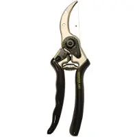 Hendrik Jan Snoeischaar Prof Papegaai - Aluminium - Staal - 20,5cm