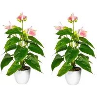 Kopu 2 stuks anthurium kunstplant 40 cm flamingoplant