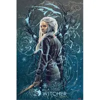 Pyramid The Witcher Ciri the Swallow Poster 61x91,5cm