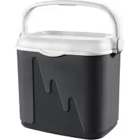 Curver Koelbox - 32L - Antraciet