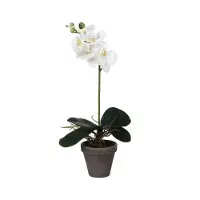 Mica Decorations Phalaenopsis Orchidee Kunstplant Wit In Pot H48 X D13 Cm Cm - Kunstplanten/nepplanten Met Bloemen