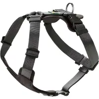 DOG SPORT Tafelgerei Aalborg Gemengd (S, Hond), Kraag + Leiband