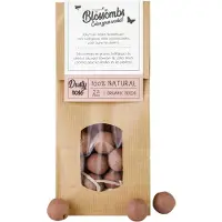 Blossombs Zaadbommetjes in Kraft Zak - 50 Bloembommetjes - Paarsrood - Cadeau voor Vlinders en Bijen