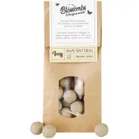 Blossombs Zaadbommetjes in Kraft Zak - 50 Bloembommetjes - Creméwit - Cadeau voor Vlinders en Bijen