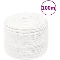 vidaXL Boottouw 14 mm 100 m polypropyleen volwit