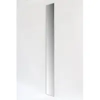Basic Spiegels fonteinspiegel rechthoekig 100x10x0.5cm