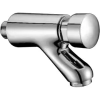 Best design Toiletkraan delay wand zelf sluitend chroom