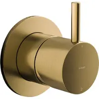 Hotbath Cobber CB011 Afbouwdeel 2-weg Omstel Geborsteld Messing - Kranen, Douchekranen, Inbouw Douchekranen - 8719638626057 - Kranen, Douchekranen, Inbouw douchekranen
