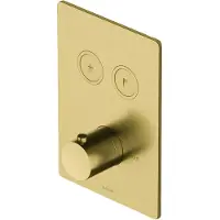 Hotbath Cobber Afbouwdeel thermostaat Rechthoek met 2 push buttons Geborsteld Messing PVD PB009Q