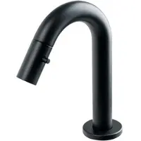 Plieger Lupo 2.0 Toiletkraan – Opbouw fonteinkraan – Laag model – Uitloop 10.1 cm – 10 jaar garantie – Mat zwart