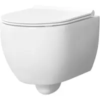 Xenz Gio randloos toilet 52cm met vortexspoeling en zitting wit glans