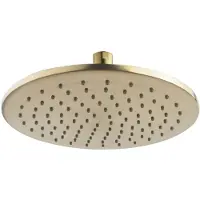 Wiesbaden Hoofddouche Caral Rond 25 cm Antikalk Geborsteld Messing Goud