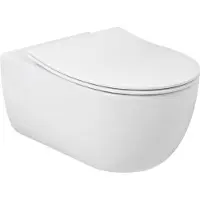 Plieger Kansas randloos toilet met softclose & quick release slimme zitting wit