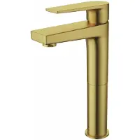 Boss & Wessing Wastafelkraan bws | colorato ensy | verhoogd | geborsteld goud