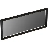 Forzalaqua Reno spiegel 120x50cm black oiled