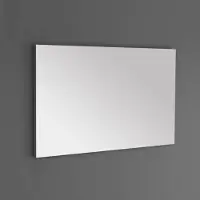 Sanilux Badkamerspiegel standaard 58x80x2,5 cm met spiegelverwarming
