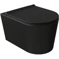 Salenzi Civita randloos toilet mat zwart met glanzende binnenkant 35x50cm