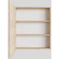 Boss & Wessing Spiegelkast BWS Cube 60x70x16 cm 1 Deur Washed Oak