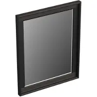 Forzalaqua Reno spiegel 40x50cm black oiled