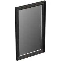 Forzalaqua Reno spiegel 40x70cm black oiled