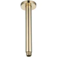 Sanilux Plafondstang Regendouche Uitloop Rond 20 cm Geborsteld Messing Goud