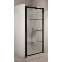 Boss & Wessing BWS Nisdeur Frame 100x200 cm 8 mm NANO Glas Mat Zwart Raster