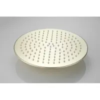 Boss & Wessing Hoofddouche bws vision rond 30 cm mat goud