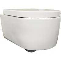Boss & Wessing Wandcloset bws cora met soft-close toiletzitting diepspoel wit