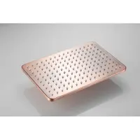 Boss & Wessing Hoofddouche bws vision rechthoekig 30x20 cm geborsteld koper