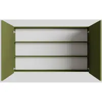 Boss & Wessing Spiegelkast bws cube 120x70x16 cm 2 deuren groen