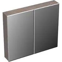 Forzalaqua Spiegelkast uni 80x12.5x68.8 cm 2 deuren tweezijdig spiegel eiken silver grey