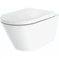 Boss & Wessing Douche wc bws wand inclusief afstandsbediening wit