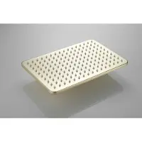 Boss & Wessing Hoofddouche bws vision rechthoekig 30x20 cm mat goud
