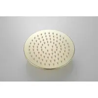Boss & Wessing Hoofddouche bws vision rond 20 cm mat goud
