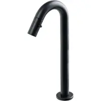Plieger Lupo 2.0 Toiletkraan – Opbouw fonteinkraan – Verhoogd model – Uitloop 20.3 cm – 10 jaar garantie – Mat zwart