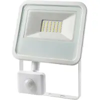 EDM 30w 2100 Lumens 6400k Led Schijnwerper