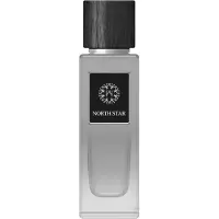 The Woods Collection , Natural North Star, eau de parfum, 100 ml (voor heren)