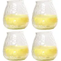 Cosy & Trendy 4x Citronella lowboy tuin/huis kaarsen in glas 10 cm - Binnen/buiten