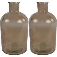 Countryfield bloemen/takken Vaas - 2x stuks - lichtbruin glas - Apotheker fles - D14 x H27 cm