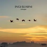 OUTHERE Ingi Bjarni Skúlason - Farfuglar (CD)