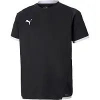 Puma Functioneel shirt 'TeamLiga' zwart / wit
