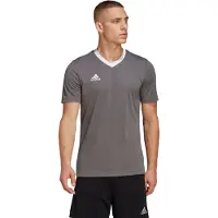 Adidas Functioneel shirt 'Entrada 22' lichtgrijs / wit