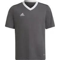 Adidas Functioneel shirt 'Entrada 22' grafiet / wit