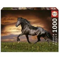 Educa - Puzzel - 1000 stuks - Paard