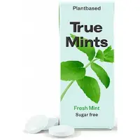 True Gum 3x Fresh Mint Sugarfree 13 gr