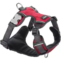 Red Dingo Hondentuigje Red Dingo Gestoffeerd Rood XL